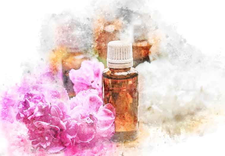 Huiles essentielles, tisanes, phytothérapie et mélange de plantes à Bergerac